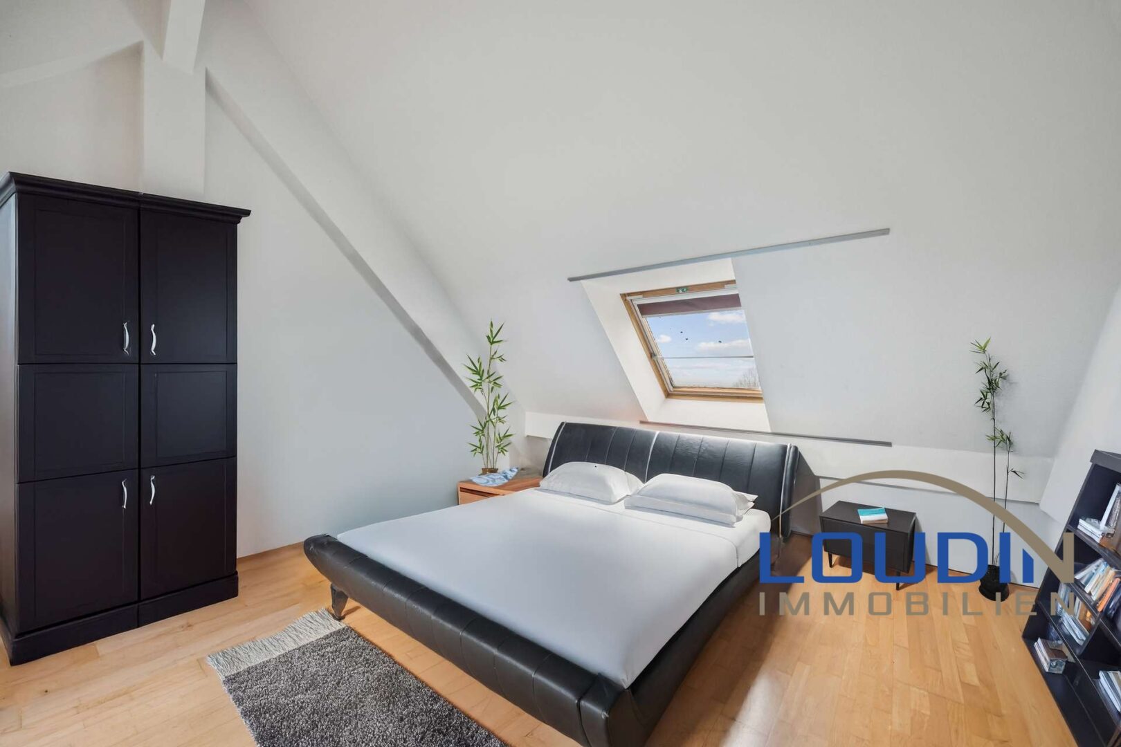 backbone_588243-A_007_HD_PSD3