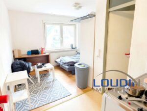 Wohnzimmer/Schlafzimmer